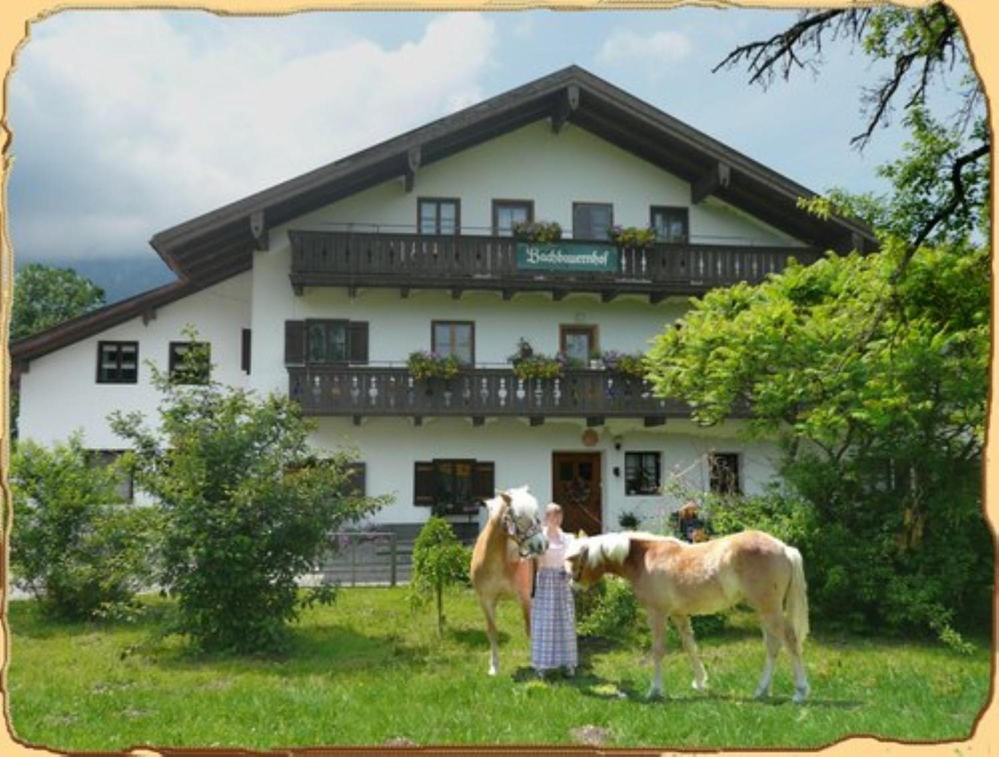 Bachbauernhof Apartment Байериш Гмайн Екстериор снимка